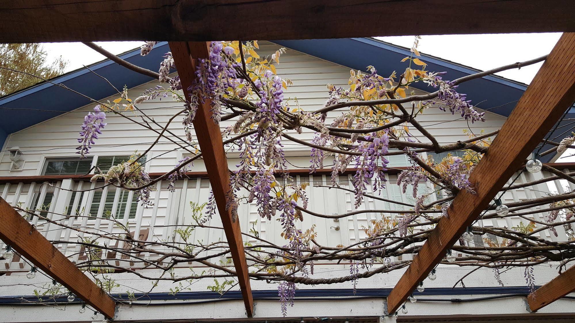 Rubyjune Inn White Salmon エクステリア 写真